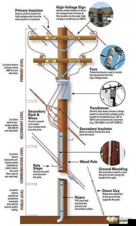 末日地带与世隔绝：电线杆怎么用？实用技巧与使用方法分享