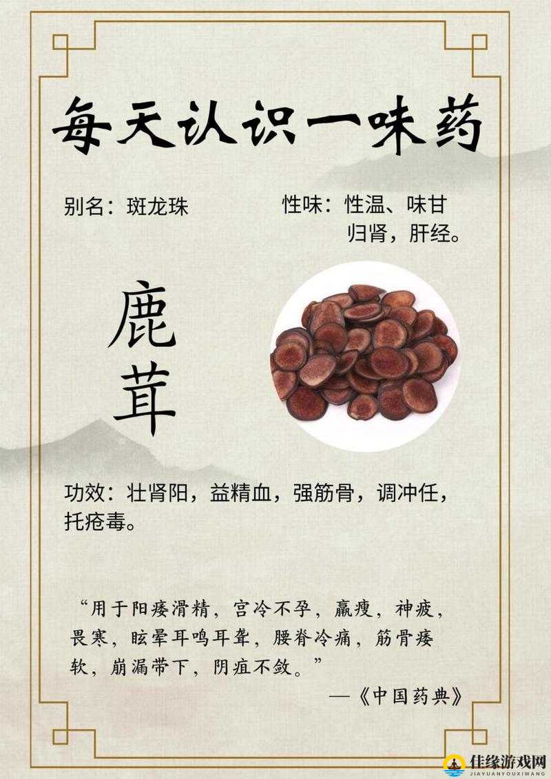 【揭秘】江湖悠悠鹿茸药谱全解析，这些秘密你知道吗？